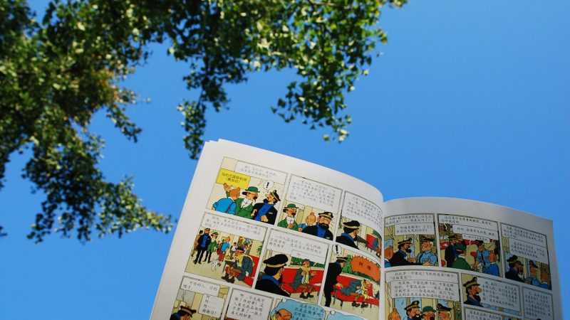 爱之欲其生漫画 故事简介与核心设定：不剧透地讲清它在讲什么